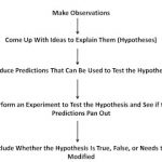 Reductionism and Holism Go Hand in Hand