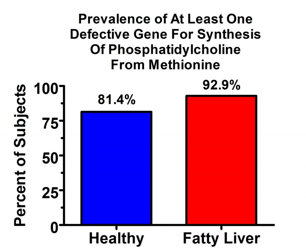 PEMT polymorphisms that raise the choline requirement are very common.