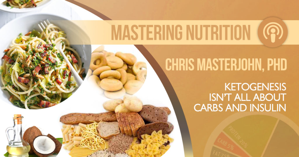 Chris Masterjohn's thoughts on Ketogenesis that it is not all about Carbohydrates and Insulin