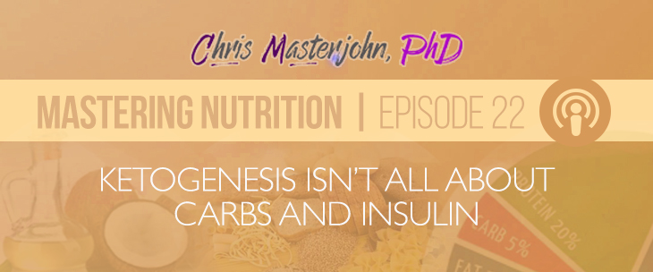 Chris Masterjohn's thoughts on Ketogenesis that it is not all about Carbohydrates and Insulin