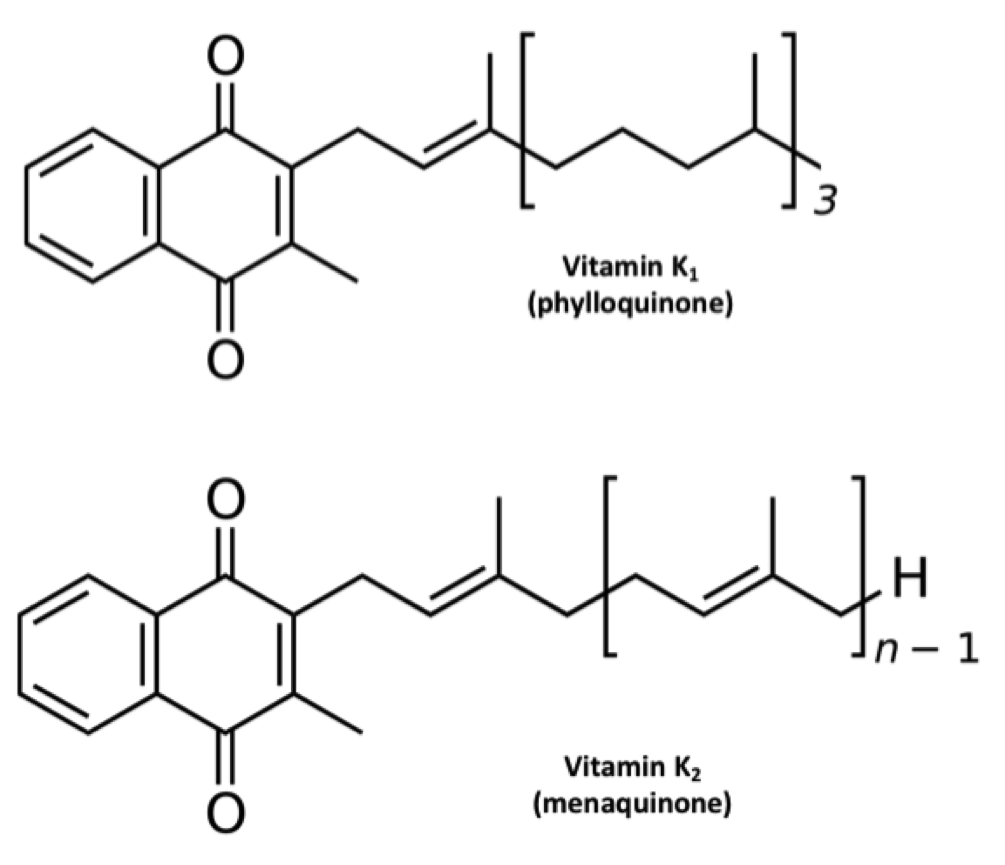 The Structures of Vitamin K1(Phylloquinone) and VitamiN K2 (Menaquinone)