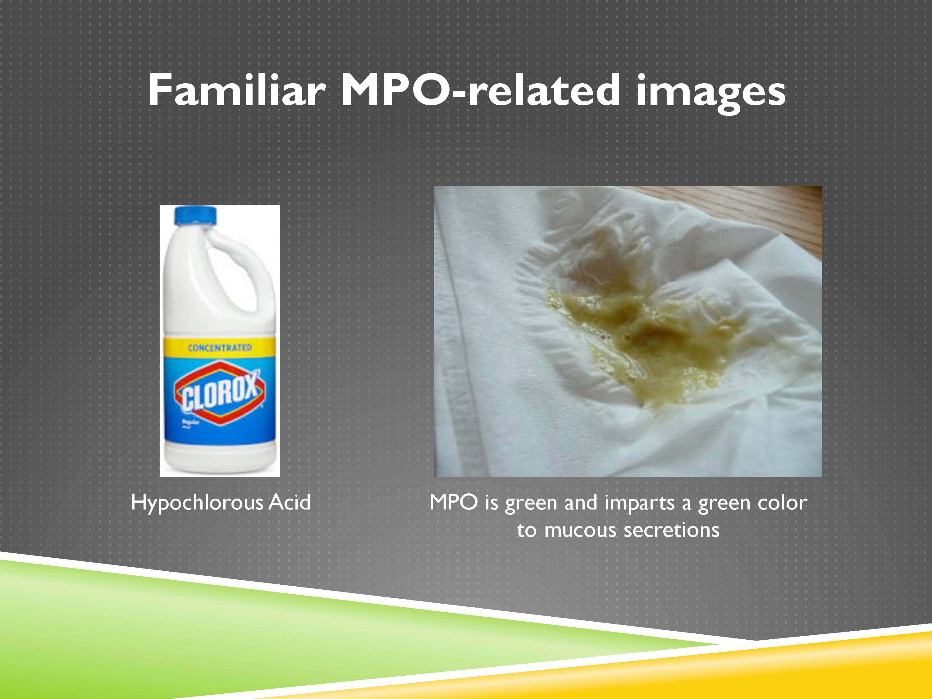 The Antioxidant System Chris Masterjohn, PhD