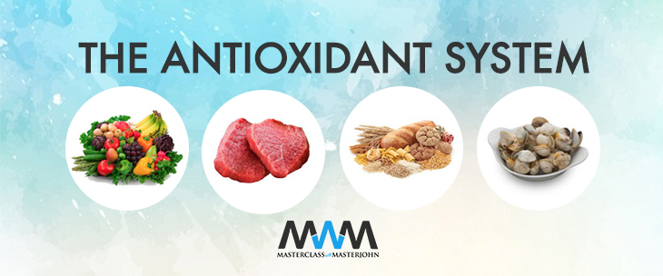 The Antioxidant System