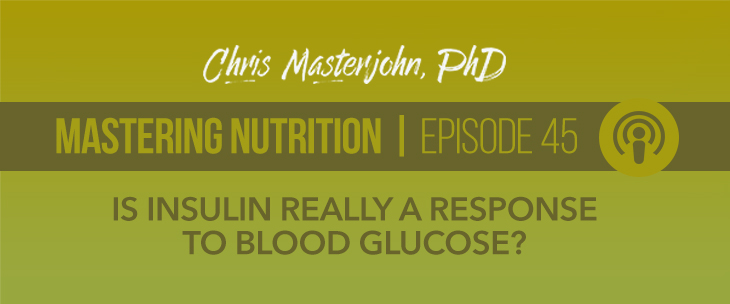 Chris Masterjohn, PhD shares his thoughts if Insulin Really a Response to Blood Glucose?