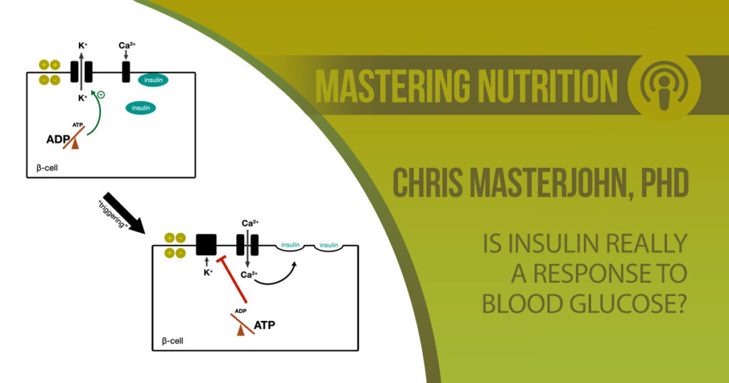 Chris Masterjohn, PhD shares his thoughts if Insulin Really a Response to Blood Glucose?
