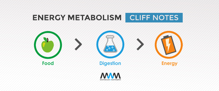 Energy Metabolism Cliff Notes