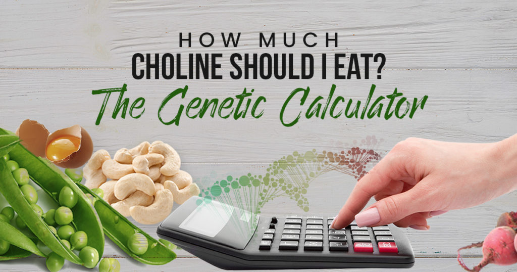 Chris Masterjohn PhD talks about How Much Choline Should I Eat? The Genetic Calculator