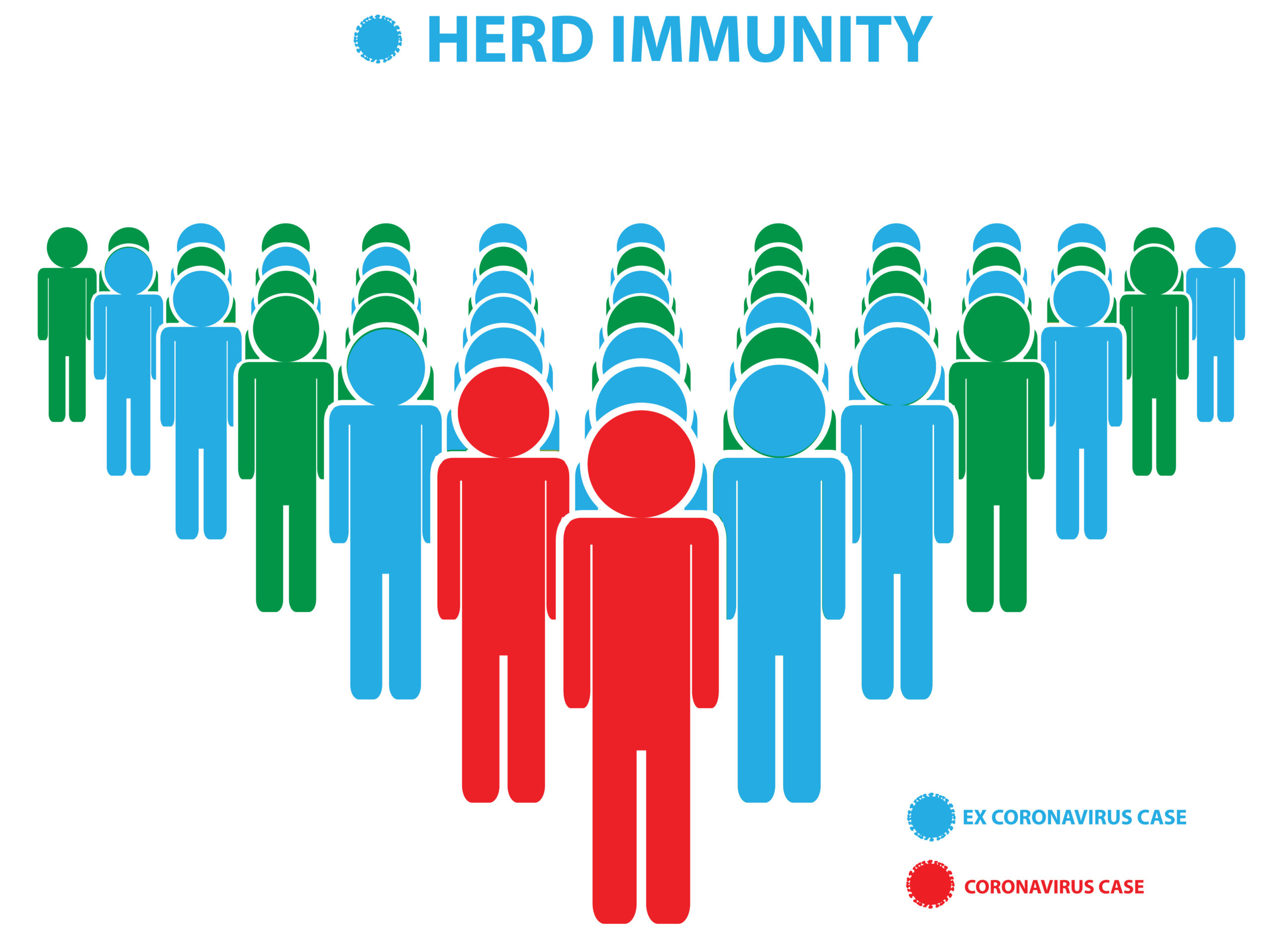 Herd Immunity and COVID-19