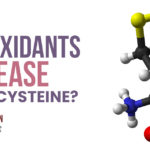Why is methylfolate the off-switch for the glycine buffer system? | Masterjohn Q&A Files #239